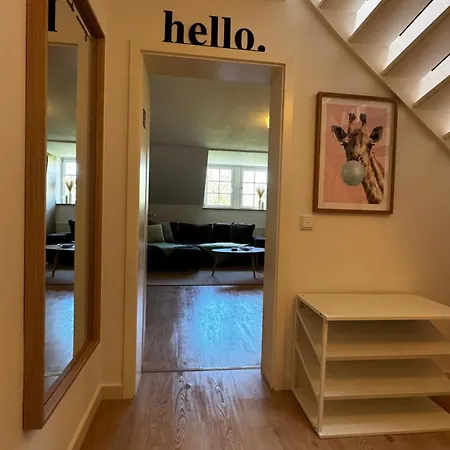 Tip! Grosszuegige Im Herzen Der Dresdner Neustadt Apartment