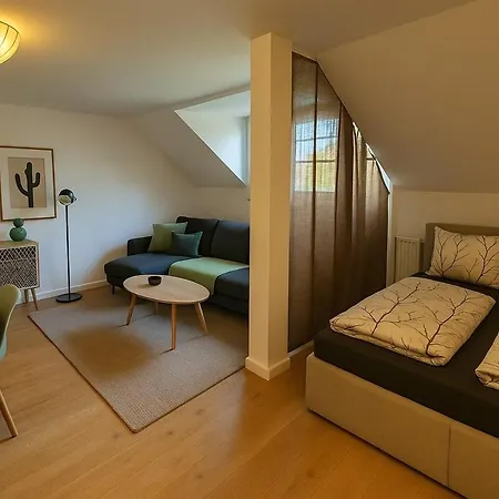 Apartment Tip! Grosszuegige Im Herzen Der Dresdner Neustadt *